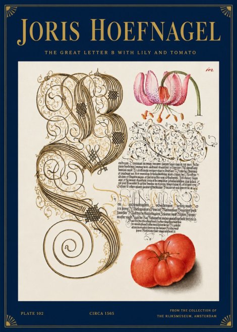 Joris Hoefnagel The Great Letter B with Lily and Tomato No3 - Poszter