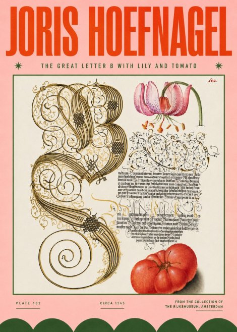 Joris Hoefnagel The Great Letter B with Lily and Tomato No4 - Poszter