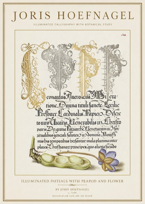 Joris Hoefnagel Illuminated Initials with Peapod and Flower No1 - Poszter