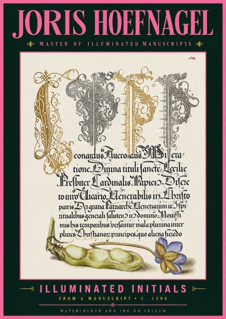 Joris Hoefnagel Illuminated Initials with Peapod and Flower No6 - Poszter