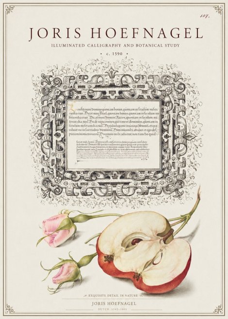 Joris Hoefnagel Illuminated Calligraphy and Botanical Study No1 - Poszter