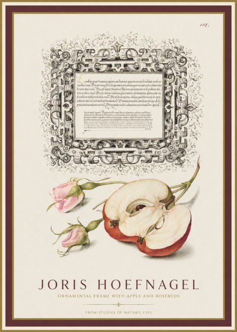 Joris Hoefnagel Illuminated Calligraphy and Botanical Study No2 - Poszter