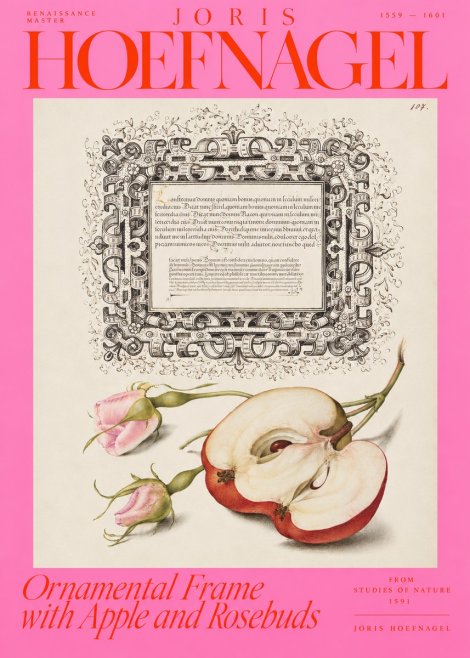Joris Hoefnagel Illuminated Calligraphy and Botanical Study No4 - Poszter