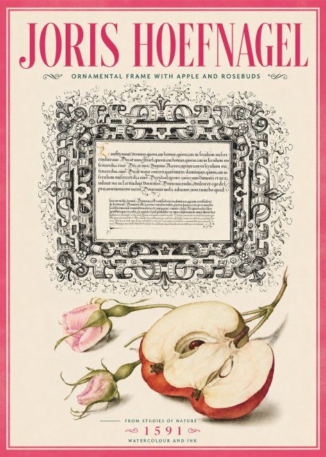 Joris Hoefnagel Illuminated Calligraphy and Botanical Study No6 - Poszter