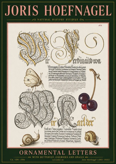 Joris Hoefnagel Ornamental Letters with Butterfly, Cherries and Snails No5 - Poszter