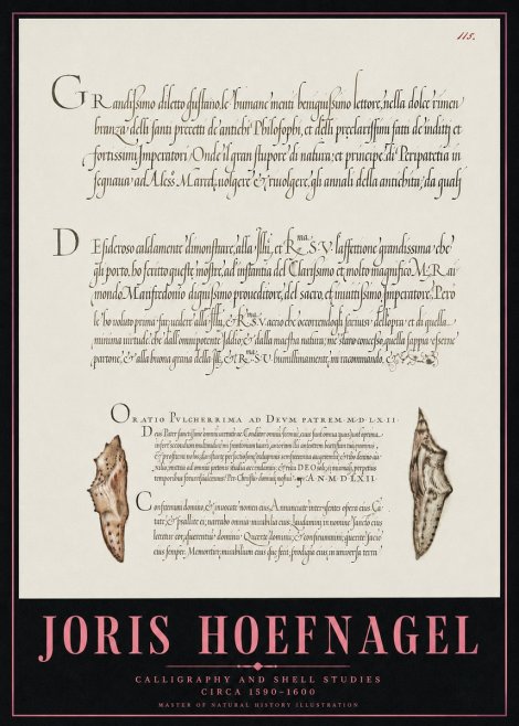 Joris Hoefnagel Study of Shells and Calligraphy No5 - Poszter