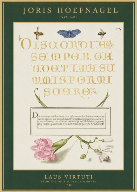 Joris Hoefnagel Laus Virtuti No1 - Poszter