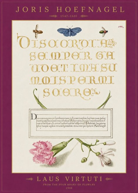 Joris Hoefnagel Laus Virtuti No2 - Poszter
