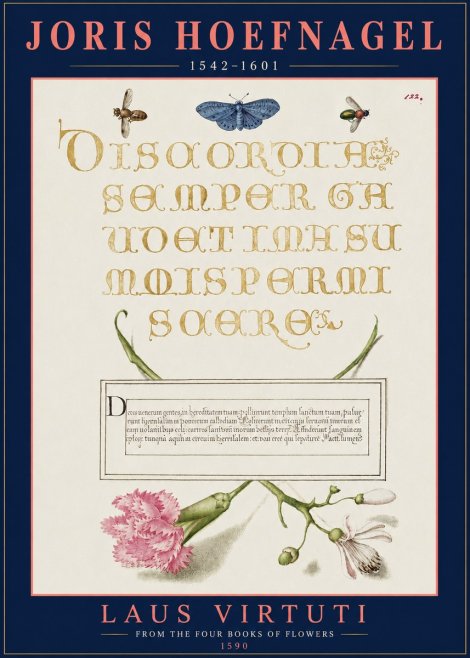 Joris Hoefnagel Laus Virtuti No3 - Poszter