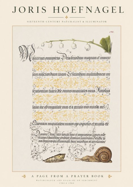 Joris Hoefnagel Lily of the Valley, Snail and Caterpillar No6 - Poszter