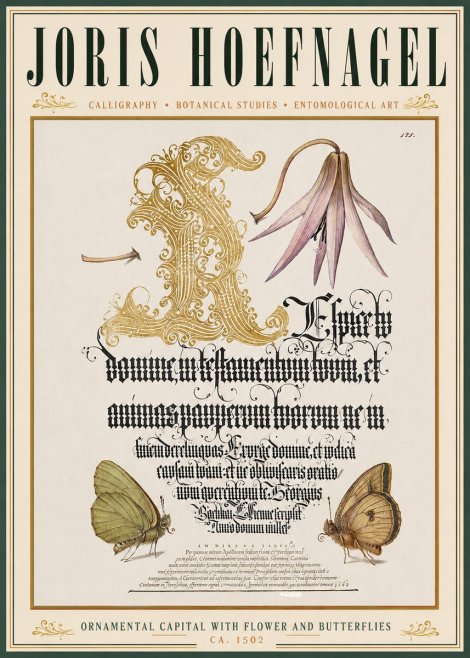 Joris Hoefnagel Ornamental Capital with Flower and Butterflies No3 - Poszter