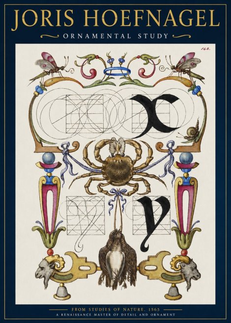 Joris Hoefnagel Ornamental Study II No2 - Poszter