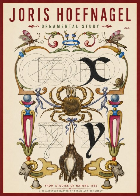 Joris Hoefnagel Ornamental Study II No3 - Poszter
