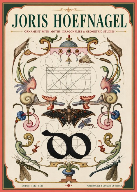 Joris Hoefnagel Ornament with Moths, Dragonflies & Geometric Studies No4 - Poszter