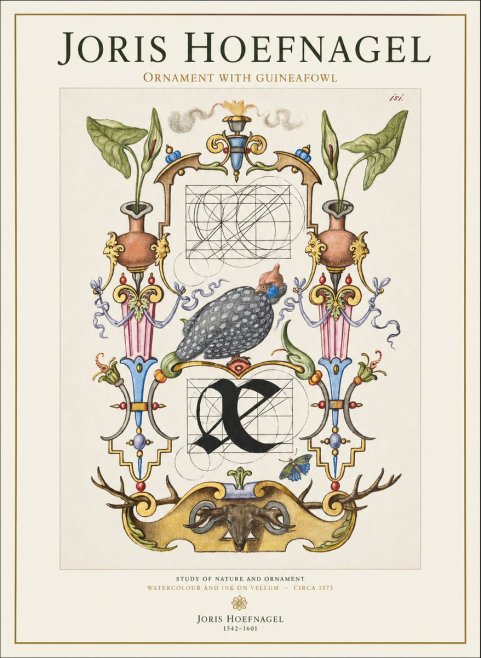 Joris Hoefnagel Ornament with Guineafowl No1 - Poszter