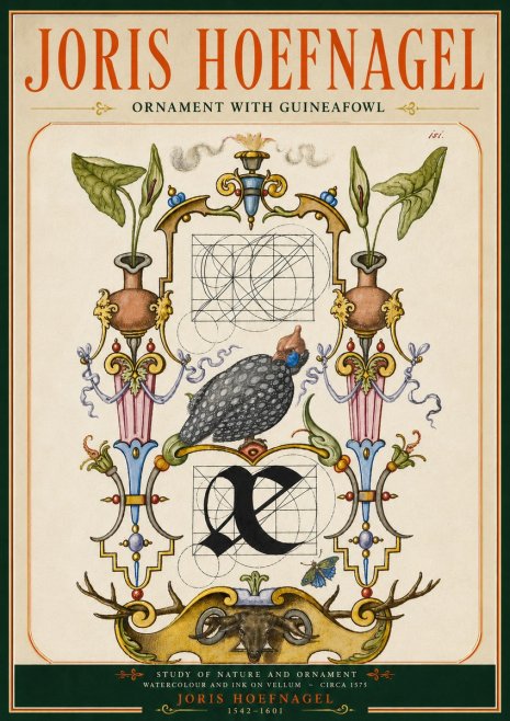 Joris Hoefnagel Ornament with Guineafowl No5 - Poszter
