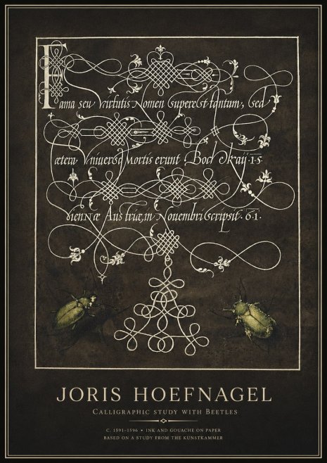 Joris Hoefnagel Calligraphic Study with Beetles No1 - Poszter