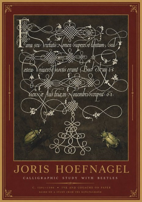 Joris Hoefnagel Calligraphic Study with Beetles No2 - Poszter