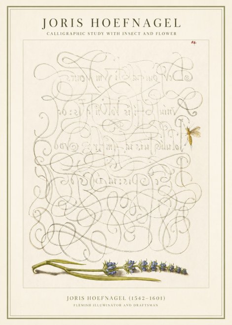 Joris Hoefnagel Calligraphic Study with Insect and Flower No1 - Poszter