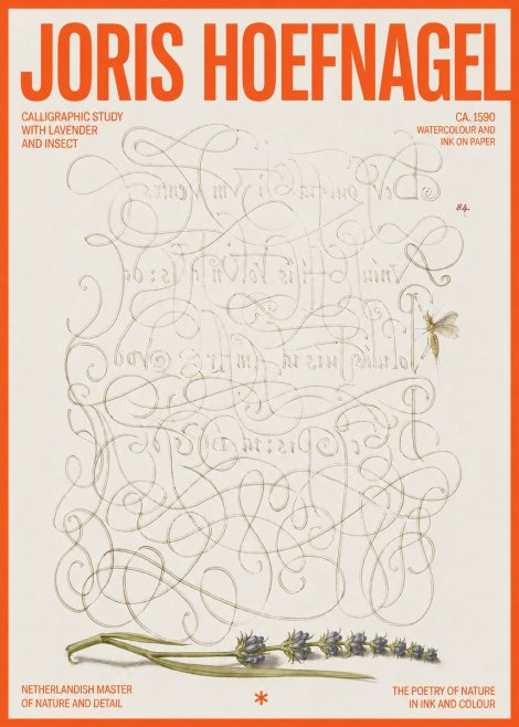 Joris Hoefnagel Calligraphic Study with Insect and Flower No6 - Poszter