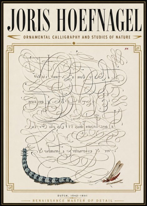 Joris Hoefnagel Ornamental Calligraphy and Studies of Nature No6 - Poszter