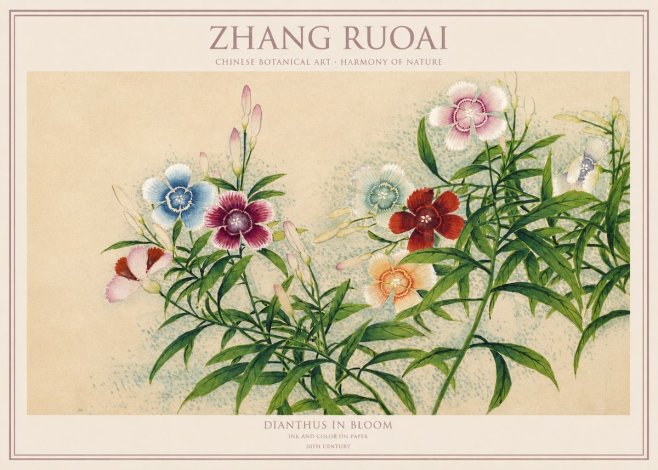 Zhang Ruoai Dianthus in Bloom No1 - Poszter