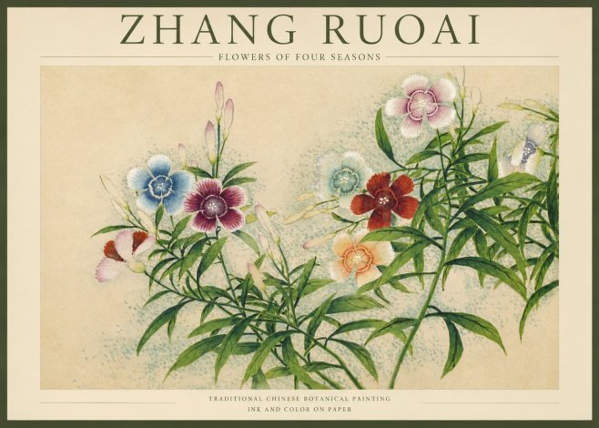 Zhang Ruoai Dianthus in Bloom No4 - Poszter