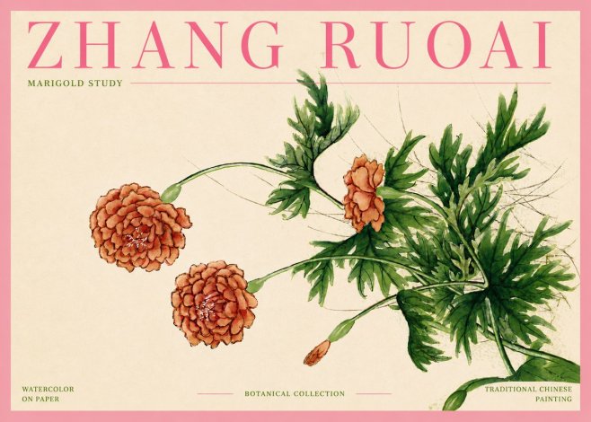 Zhang Ruoai Marigold Study No4 - Poszter