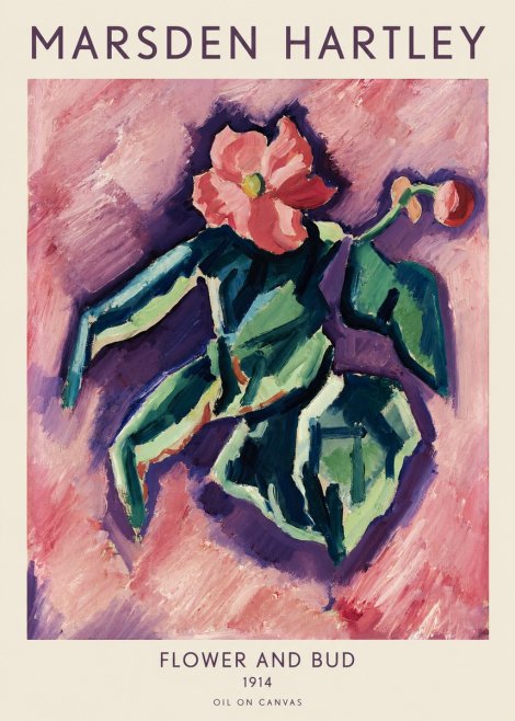 Marsden Hartley Flower and Bud No1 - Poszter