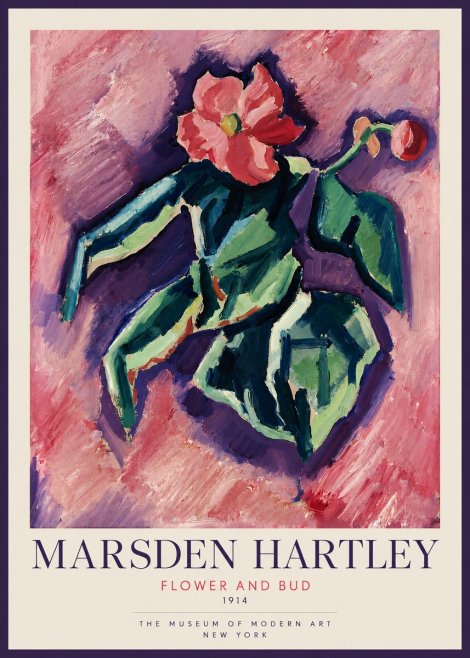 Marsden Hartley Flower and Bud No2 - Poszter