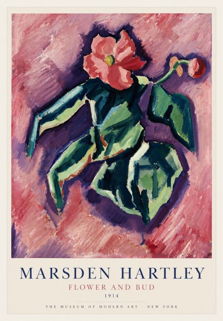 Marsden Hartley Flower and Bud No3 - Poszter