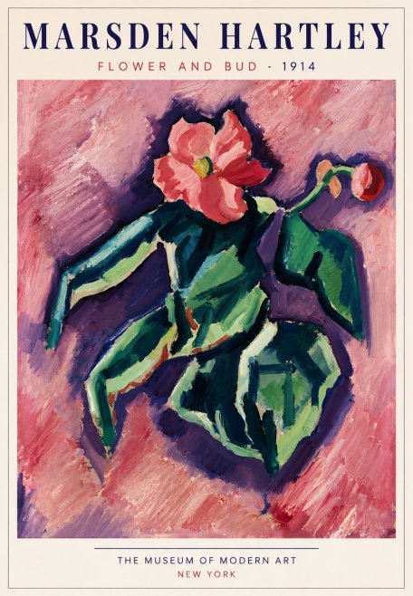 Marsden Hartley Flower and Bud No5 - Poszter