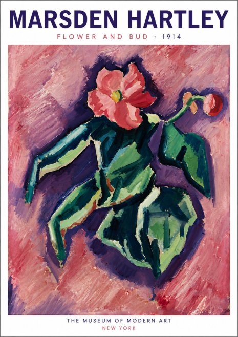 Marsden Hartley Flower and Bud No6 - Poszter