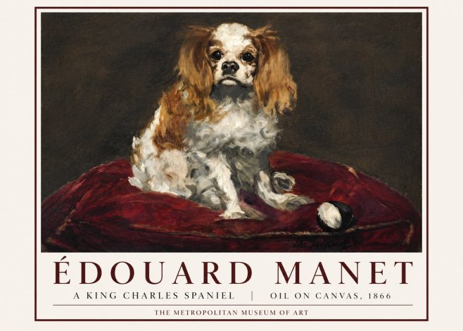 Édouard Manet A King Charles Spaniel No3 - Poszter