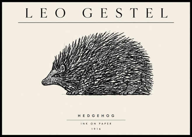 Leo Gestel Hedgehog No3 - Poszter