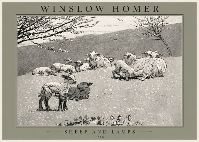 Winslow Homer Sheep and Lambs No2 - Poszter