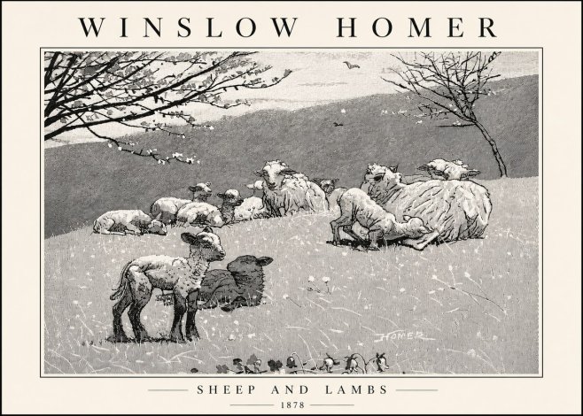 Winslow Homer Sheep and Lambs No4 - Poszter