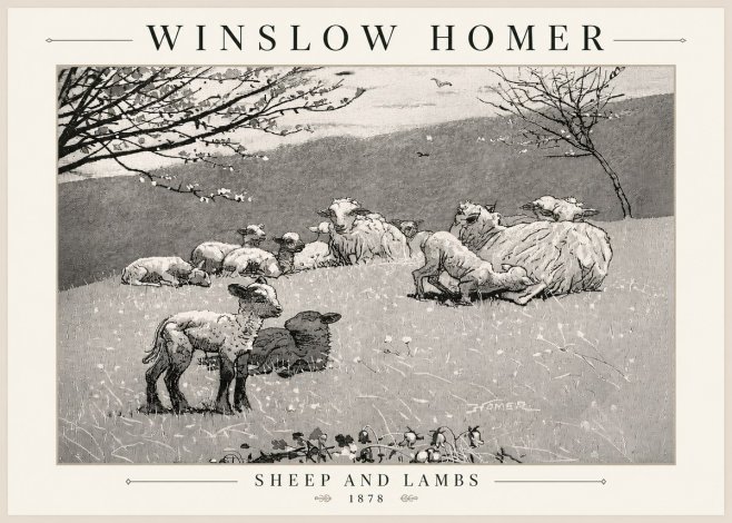 Winslow Homer Sheep and Lambs No5 - Poszter