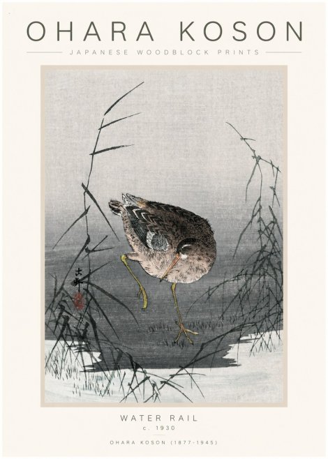 Ohara Koson Water Rail No1 - Poszter