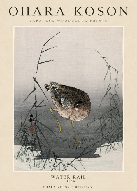 Ohara Koson Water Rail No3 - Poszter