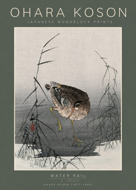 Ohara Koson Water Rail No5 - Poszter