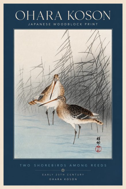 Ohara Koson Snipe in the Reeds No4 - Poszter