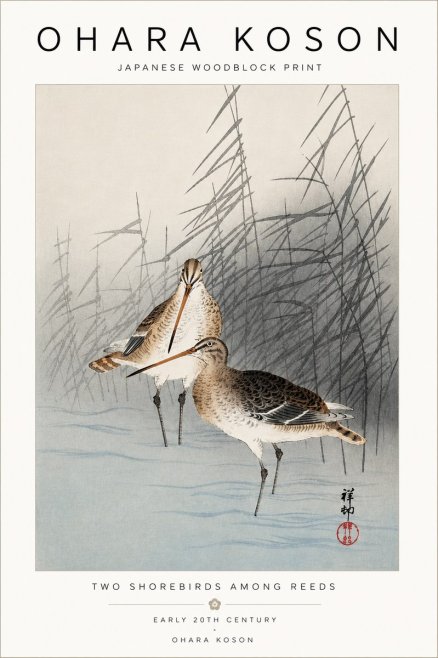 Ohara Koson Snipe in the Reeds No5 - Poszter