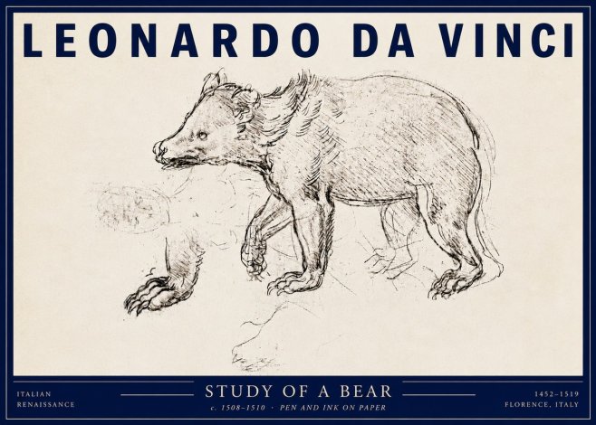 Leonardo da Vinci Study of a Bear No3 - Poszter
