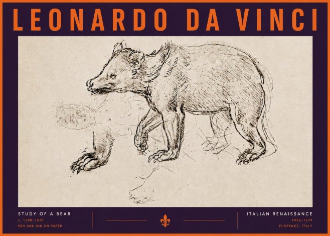 Leonardo da Vinci Study of a Bear No6 - Poszter