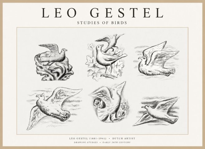 Leo Gestel Studies of Birds No1 - Poszter
