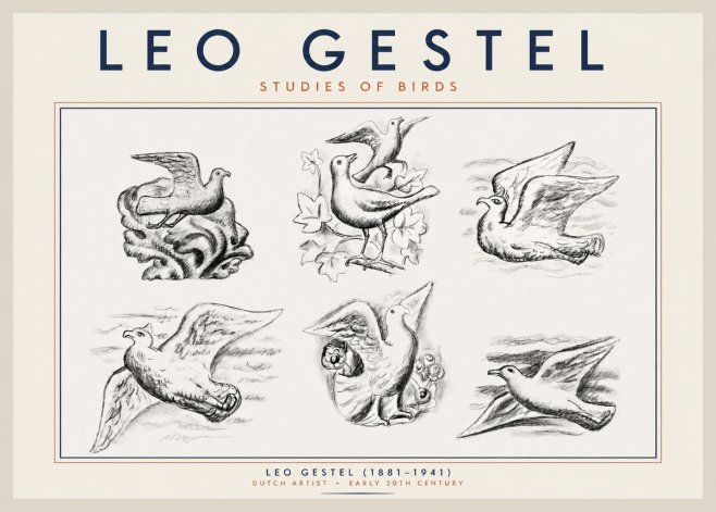 Leo Gestel Studies of Birds No2 - Poszter