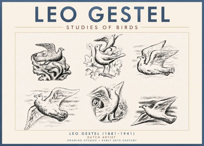 Leo Gestel Studies of Birds No4 - Poszter