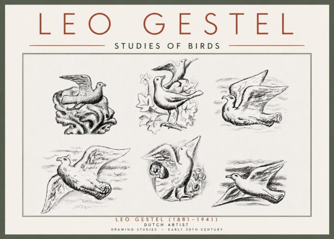 Leo Gestel Studies of Birds No5 - Poszter