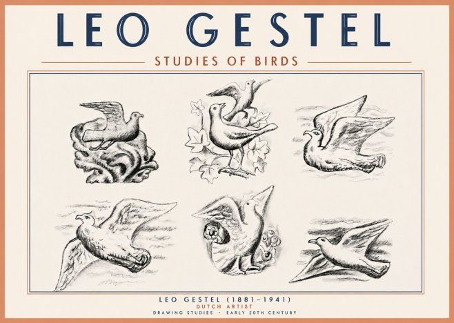 Leo Gestel Studies of Birds No6 - Poszter